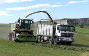 Forage Harvesting 3