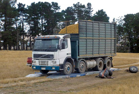 Portable Weighbridge 2